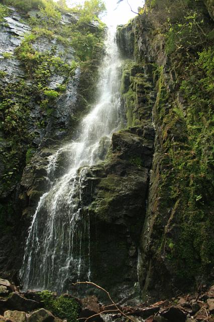 Kniebis 2009 Bild 36